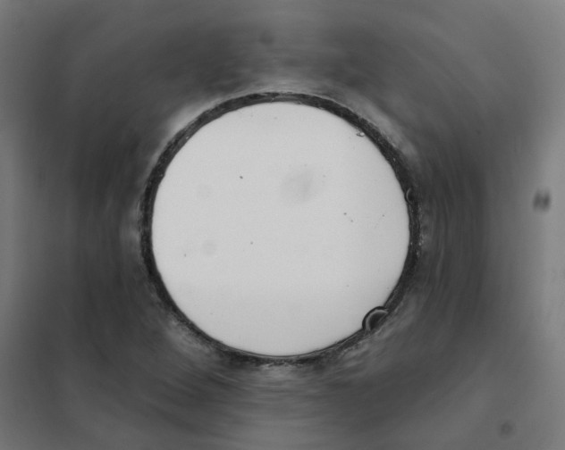 X0000101701264200808071150