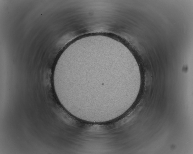 X0000101701265200808071150