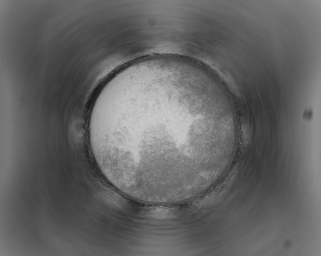 X0000101701266200808071150