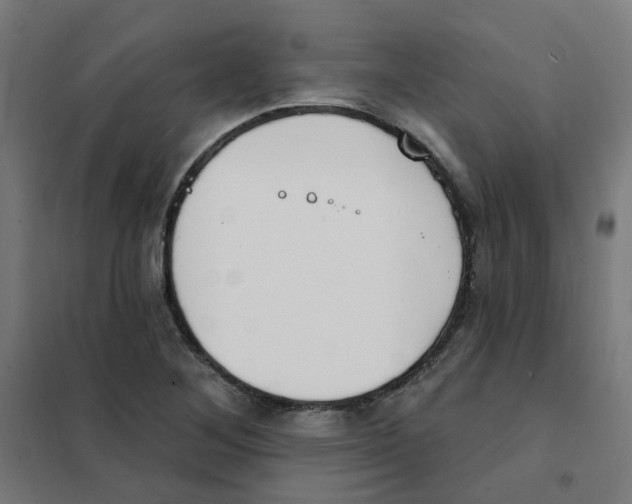 X0000101701268200808071150