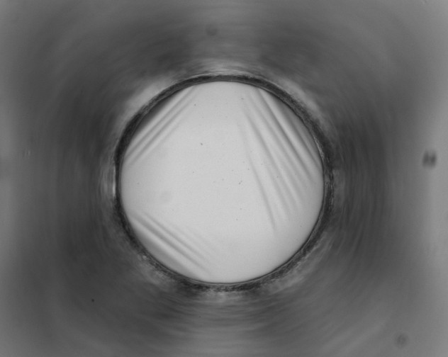 X0000101701269200808071150