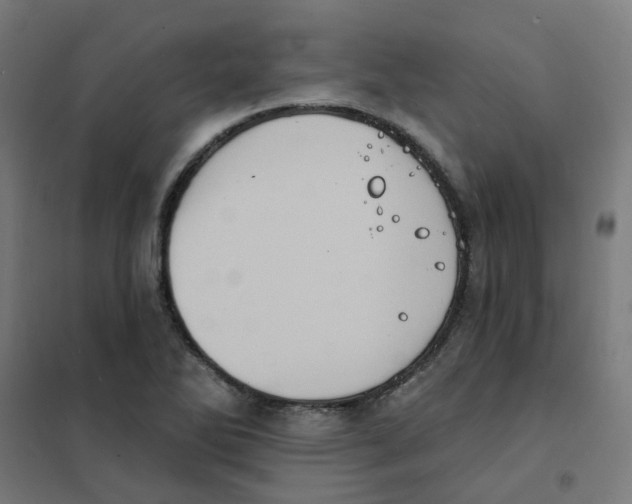 X0000101701270200808071150