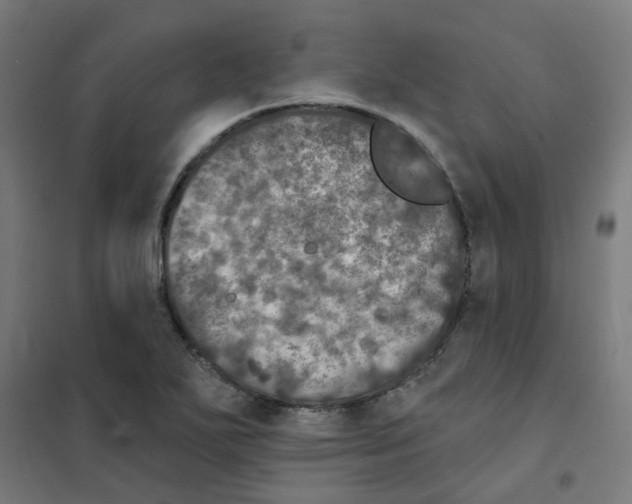 X0000101701271200808071150
