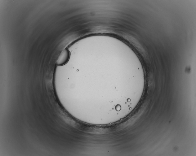 X0000101701273200808071150