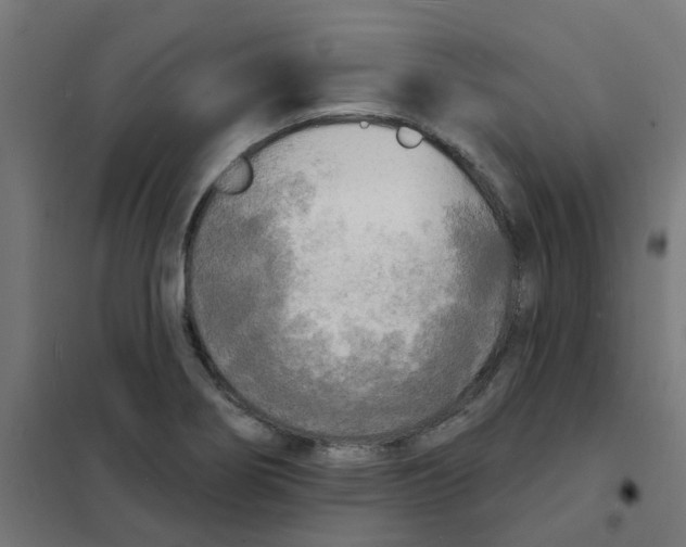 X0000101701274200808071150