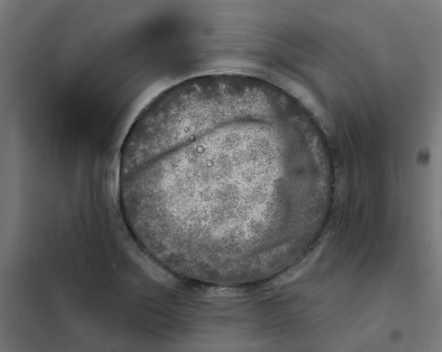 X0000101701275200808071150
