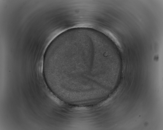 X0000101701276200808071150