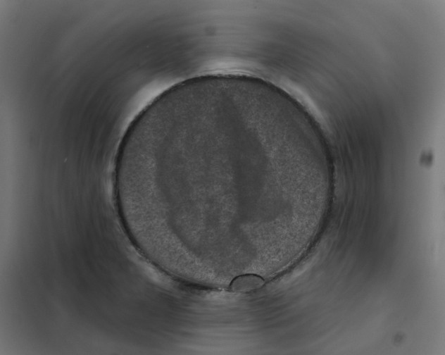 X0000101701277200808071150