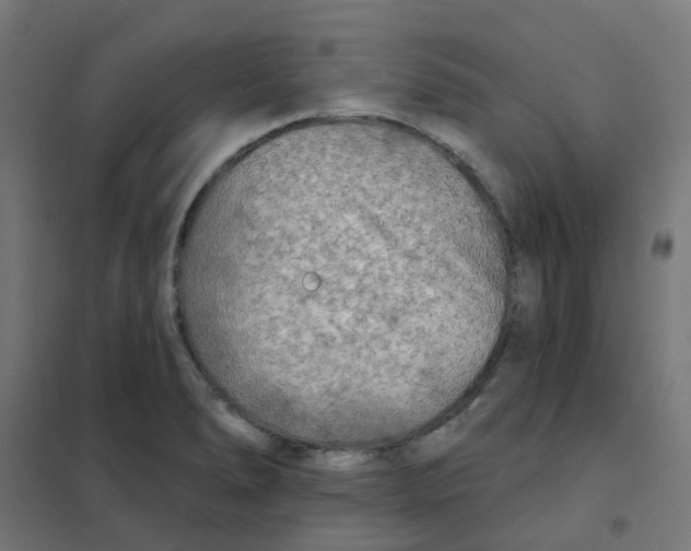 X0000101701278200808071150
