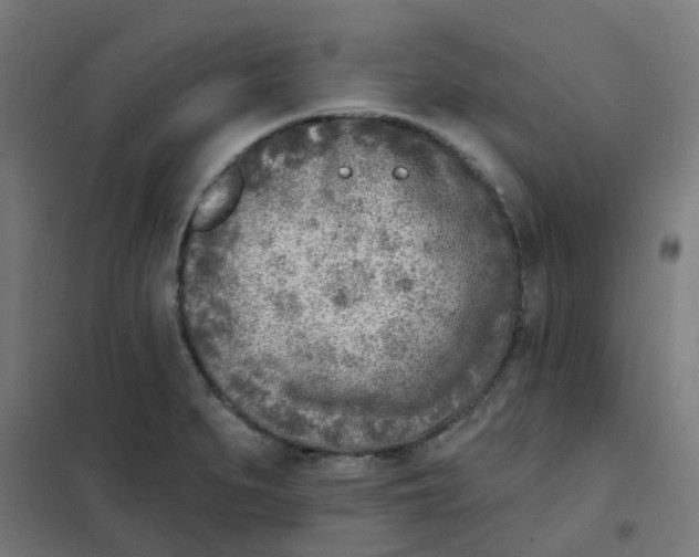 X0000101701279200808071150