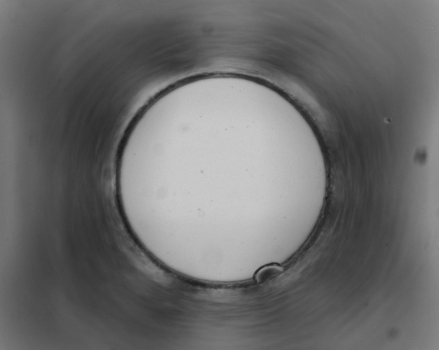 X0000101701280200808071150