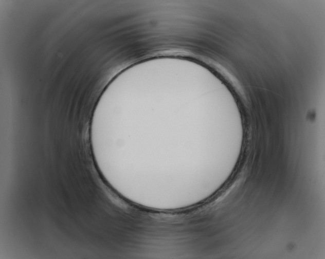 X0000101701281200808071150
