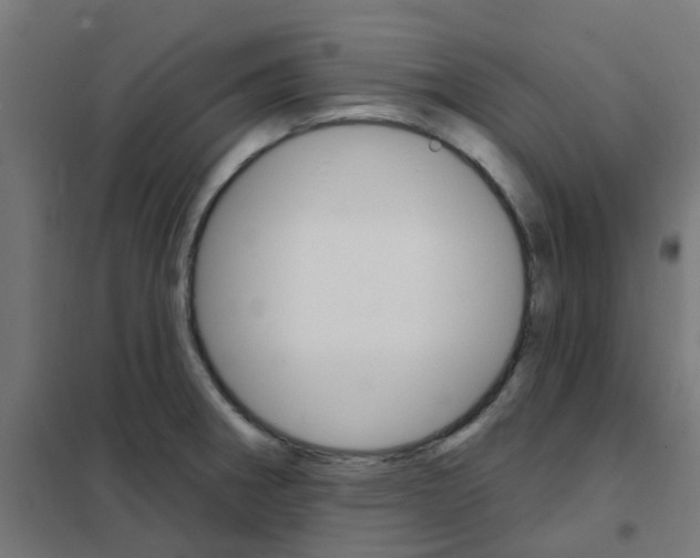 X0000101701282200808071150