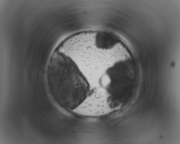 X0000101701283200808071150