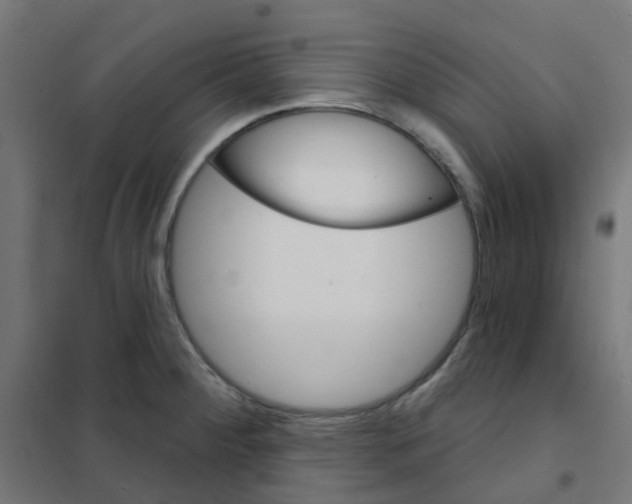 X0000101701284200808071150