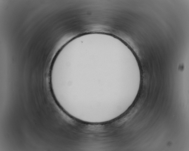X0000101701285200808071150