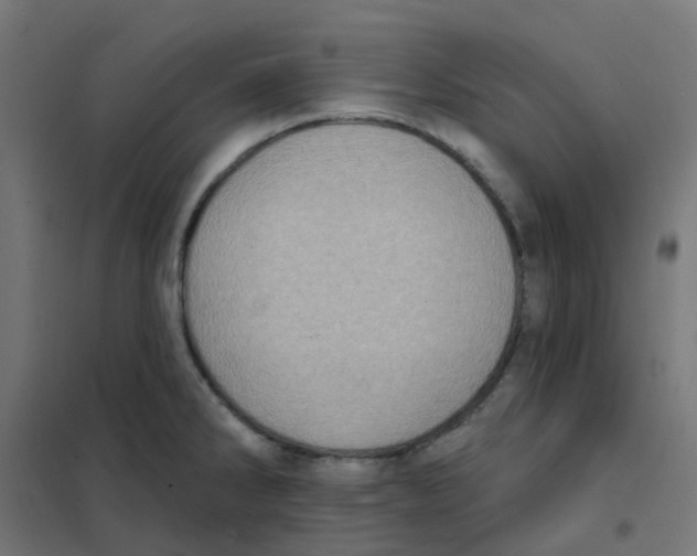 X0000101701286200808071149
