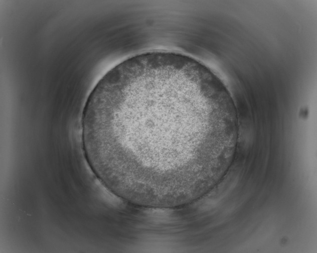 X0000101701287200808071149
