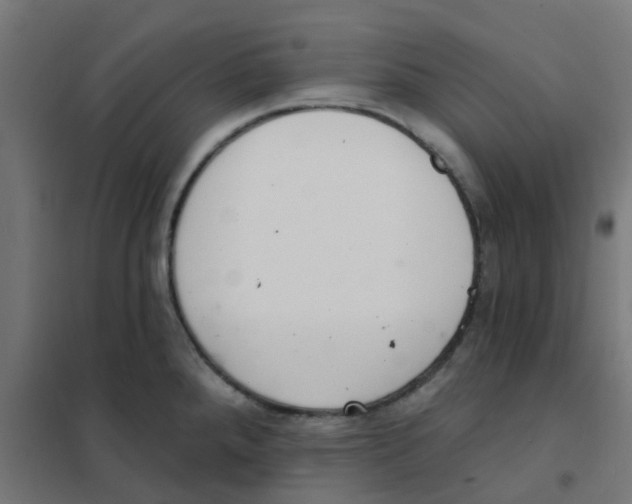 X0000101701288200808071149