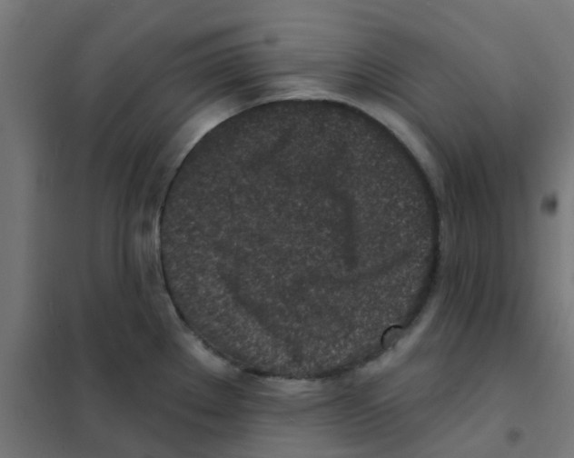 X0000101701289200808071149