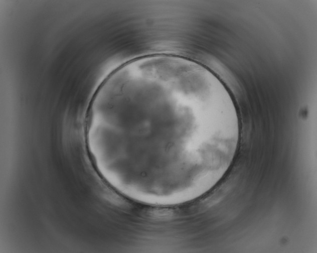 X0000101701291200808071149