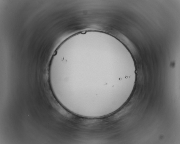 X0000101701292200808071149