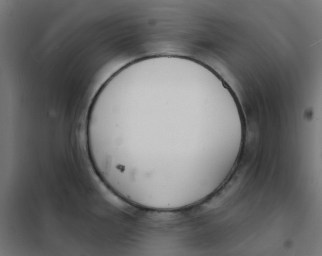 X0000101701293200808071149