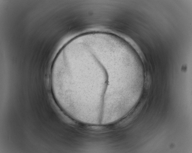 X0000101701295200808071149