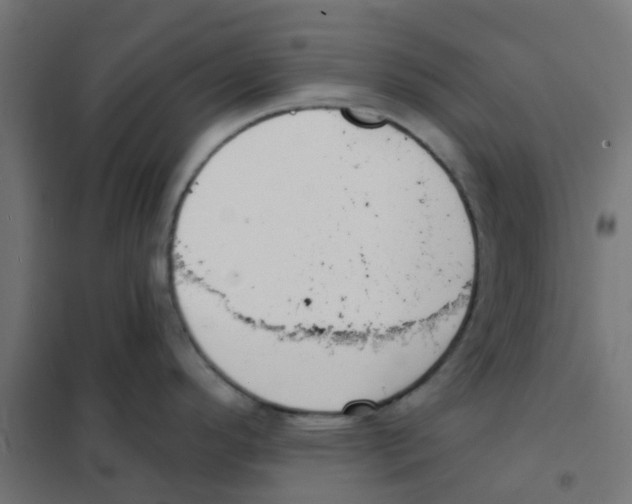 X0000101701296200808071149