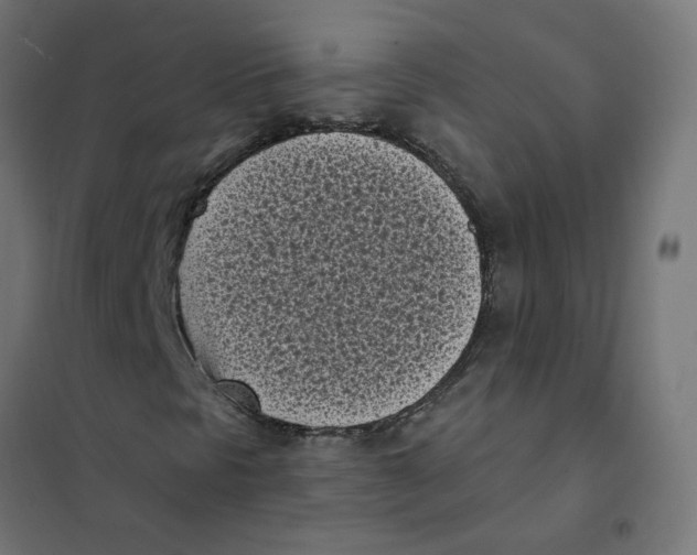 X0000101701297200808071149