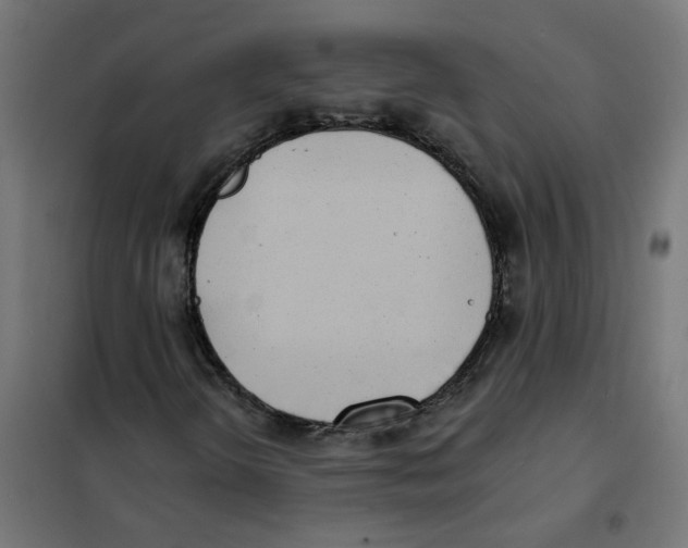 X0000101701298200808071149