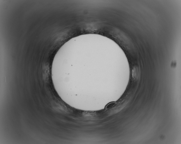 X0000101701299200808071149