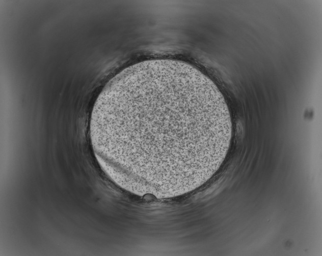 X0000101701300200808071149