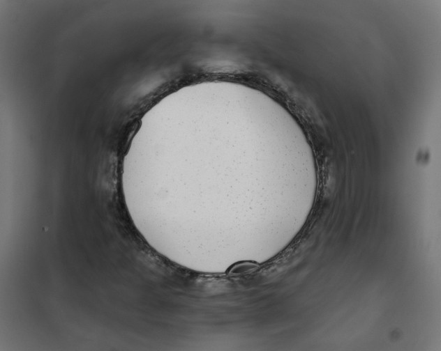 X0000101701301200808071149
