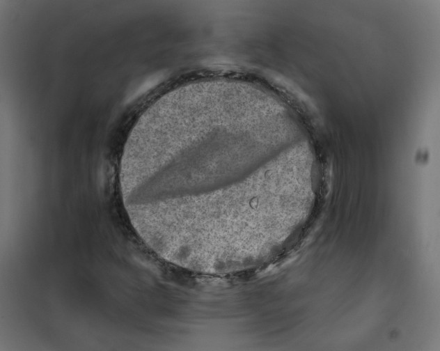 X0000101701302200808071149