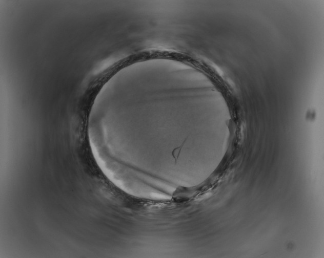 X0000101701303200808071149