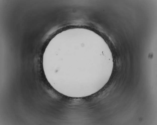 X0000101701304200808071149