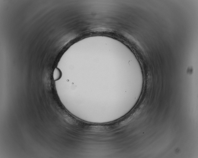 X0000101701305200808071149