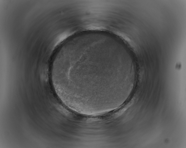 X0000101701306200808071149