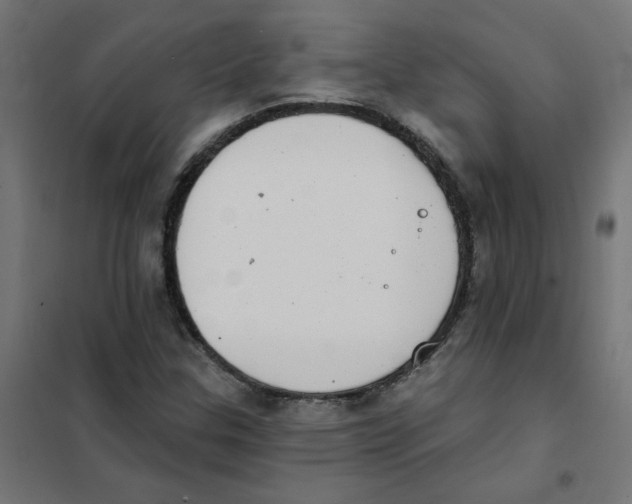 X0000101701307200808071149