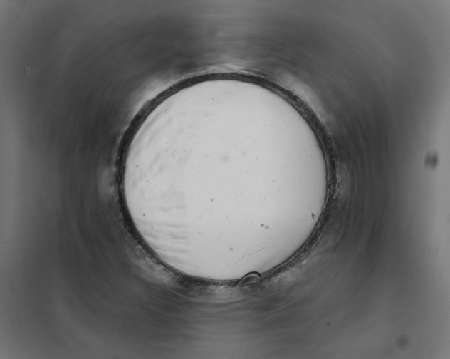 X0000101701308200808071149