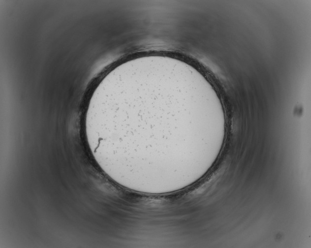 X0000101701309200808071149