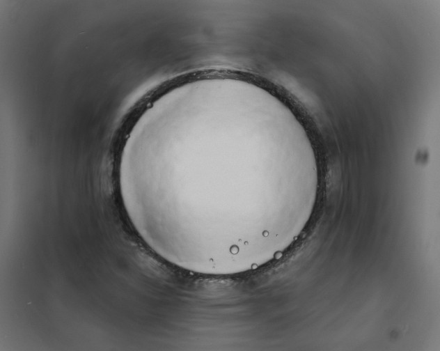 X0000101701310200808071149
