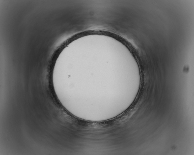 X0000101701311200808071149