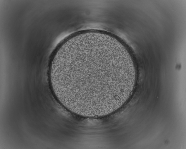 X0000101701312200808071149