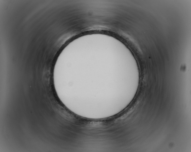 X0000101701313200808071149