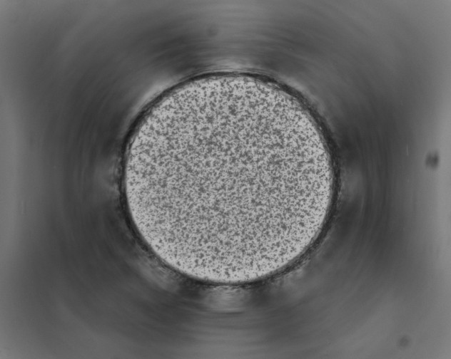 X0000101701314200808071149