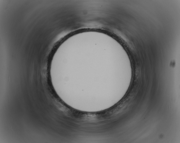 X0000101701315200808071149