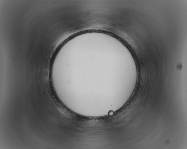 X0000101701316200808071149
