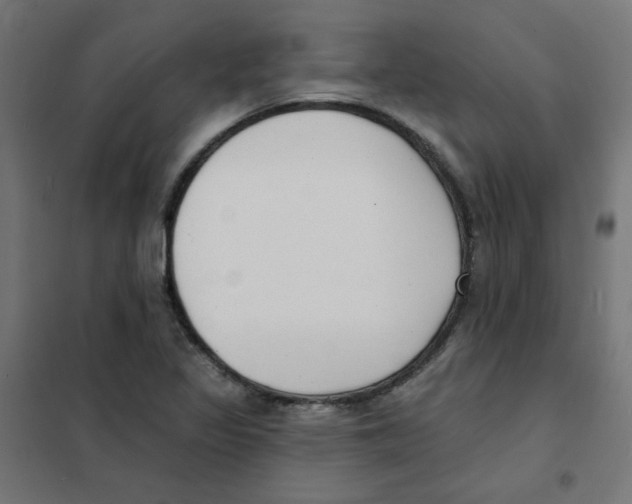 X0000101701317200808071149